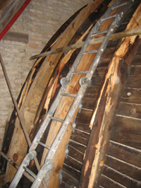 Insektenbek&auml;mpfung