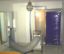 Schimmelpilzsanierung