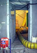 Sch&auml;dlingsbek&auml;mpfung